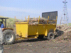 sugarcane trailer