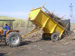sugarcane trailer