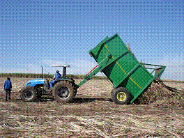sugarcane trailer