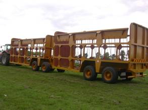 sugar cane field to mill trailer