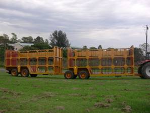 sugar cane field to mill trailer